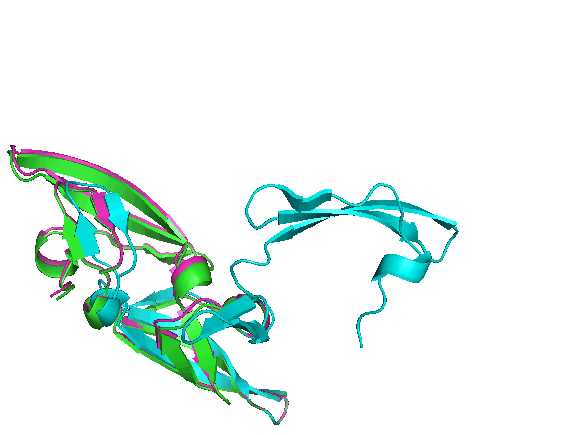 Protein Folding under Constraints Thumbnail