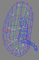 wireframe image of the m-rep model