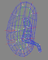 wireframe image of the m-rep model
