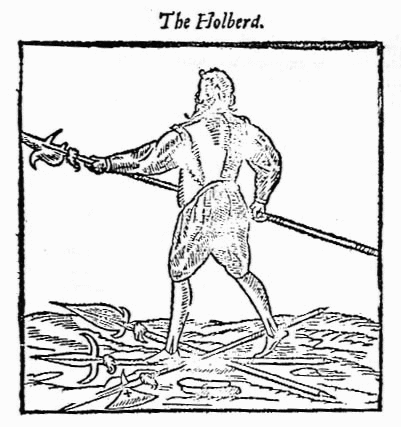 IMAGE:  man with halberd