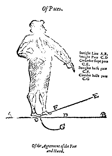 IMAGE:  The figures made by the paces