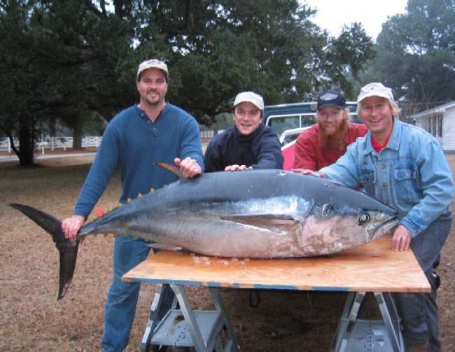 Gerald, Bob, Jim, Kurtis and 225 lb Blue Fin tuna caught off Cape Lookout NC.