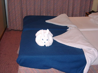 towel bunny