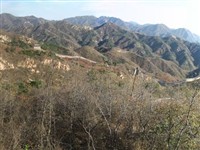 Great Wall 4