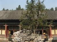 Summer Palace Interior Court 2B
