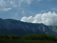 Alps