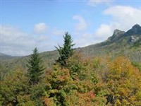 Grandfather Mountain 2
