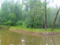 Connie's Pond 3