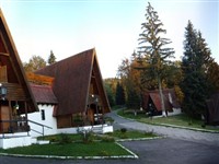 Horse Farm 1
