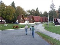 Horse Farm 2