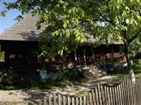 Muzeul Satului 11