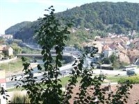 Sighisoara From Above