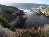 Monterey Coast