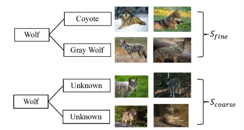 image classification