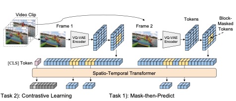 vimpac