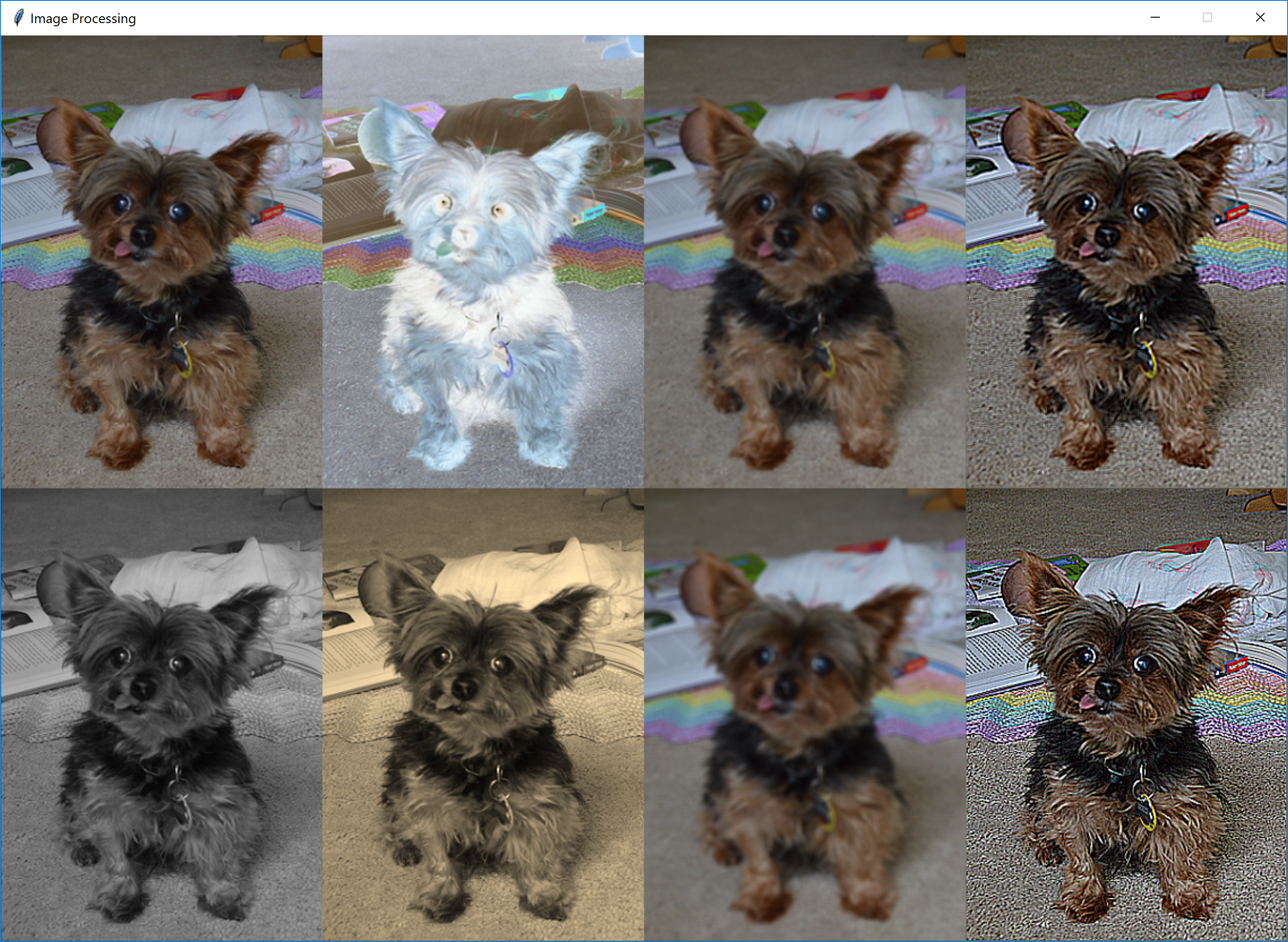 <image: different image processing outputs>